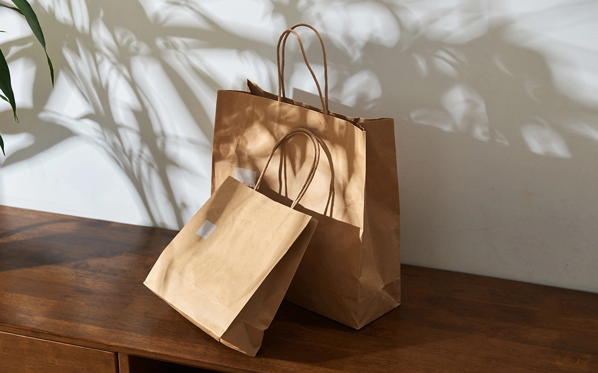 Gift Paper Bag